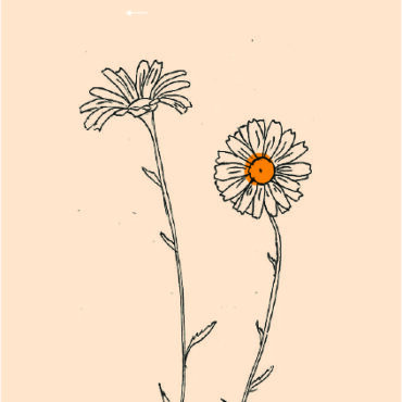 מבצעי תוקף קצר