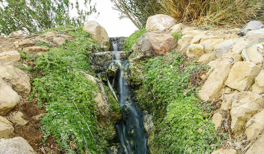 נווה מדבר נאות סמדר – יום רענון לצוותים וחוויית שקט במדבר